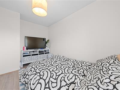 Picture 20